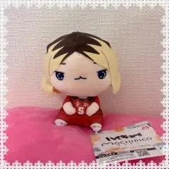 ♡ハイキュー!! もちぴこぬいぐるみ 孤爪研磨 マスコット
