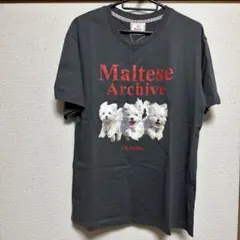 WaiKei tシャツ　Maltese archive