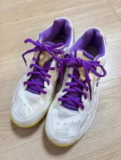 Item thumbnail for item e46baadc-a279-4805-bb95-92dce6429923