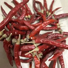 辛くてうまい！激辛唐辛子！日本一辛い！黄金唐辛子 乾燥 約100g