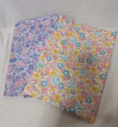 Item thumbnail for item 068ee910-a894-4d7b-9cd8-c44f70dc14a0