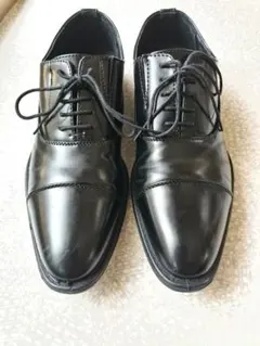 Item thumbnail for item 32e917c4-0a2f-468c-9ea8-6fd14b247d71