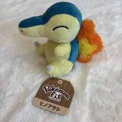 ポケモンセンター限定 オリジナル ヒノアラシ ポケモンキャンバス