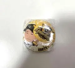 2026年最新】小幡竜平の人気アイテム - メルカリ