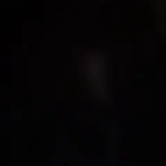 Sari様