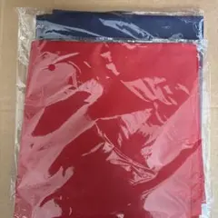 Item thumbnail for item c9f5f898-e1eb-44e6-8ee0-fc0b7e6939b8