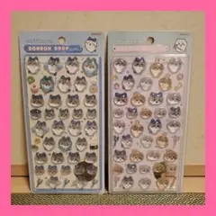 【ちいかわ ２点セット】ハチワレ　うさぎ 　ポンポンドロップ　おはじきシール　②
