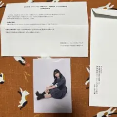 正源司陽子 座り 直筆 サイン サンタ 日向坂46 生写真 - メルカリ