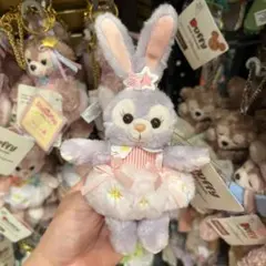 香港ディズニー キーホルダー アナ雪買い物バックセット - メルカリ