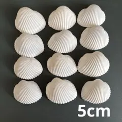 Item thumbnail for item e8262d71-6256-44b9-89a0-4eafad632511