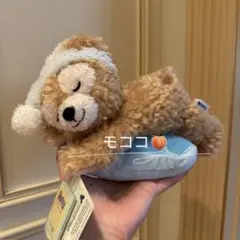 香港ディズニー　おねねシリーズ　ダッフィーぬいぐるみ