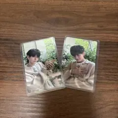 TREASURE YOSHI ヨシ　トレカ