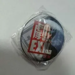 青柳翔 チェンジング缶バッチ