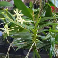 kozu様 リクエスト 3点 まとめ商品