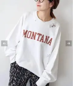 Item thumbnail for item af9a3335-5a7a-42e3-a74d-ca67a0a6373c