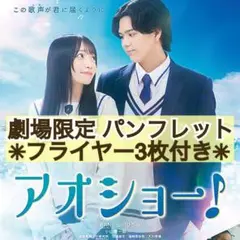 ★丁寧梱包発送★ 映画 アオショー！ パンフレット &フライヤー3枚
