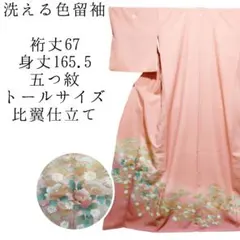 Item thumbnail for item 81030d68-2f57-464f-a597-a49586d913ba