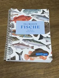 SALZWASSER-FISCHE 魚釣りガイド