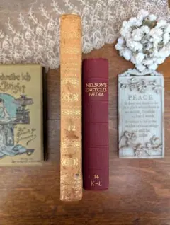 Antique books, set of 2, French antique leather books, for interior decoration.