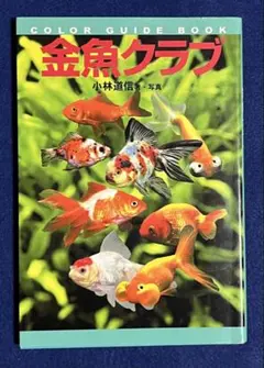 COLOR GUIDE BOOK 金魚クラブ 小林道信