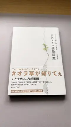 やけに植物に詳しい僕の街のスキマ植物図鑑 瀬尾一樹