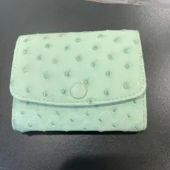 13★ミントグリーン　オーストリッチコインケース