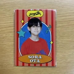 ジュニア 林田芯 プロフィールカード プロカ - メルカリ
