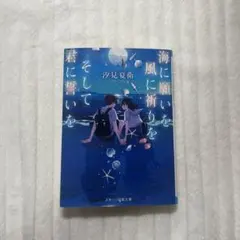 海に願いを風に祈りをそして君に誓いを 汐見夏衛
