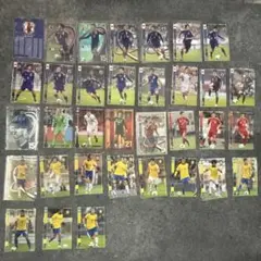 パニーニフットボールリーグ ナショナルチーム