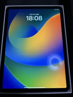 iPad Pro 第1世代 256GB 11インチ スペースグレーセルラーモデル