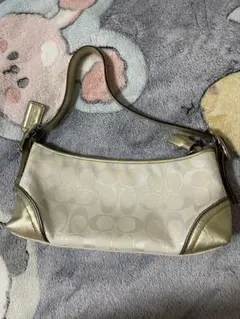 希少　COACH コーチ　アクセサリーポーチ　ハンドバッグ　シグネチャー　白