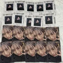 &TEAM トレカ　セット　月狼　月浪　20枚