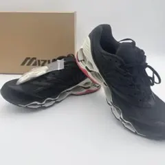 Mizuno Graphpaper WAVEPROPHECY 29cmのサムネイル