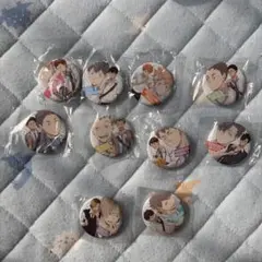 公*o様 ハイキュー!!缶バッジ10個セット