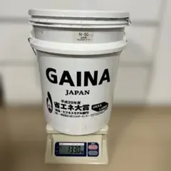 日進産業GAINA ガイナ茶系 14kg17-60H 断熱·遮熱塗料 - メルカリ