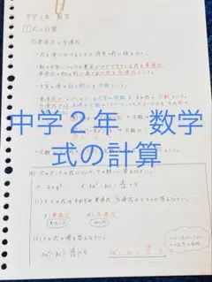 みーこ様 リクエスト 5点 まとめ商品