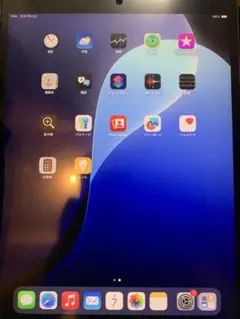 Apple iPad シルバー 本体 第3世代