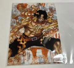 onepiece 三兄弟