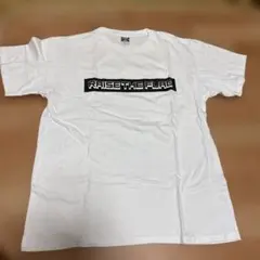 三代目JSB RAISE THE FLAG Tシャツ Lサイズ