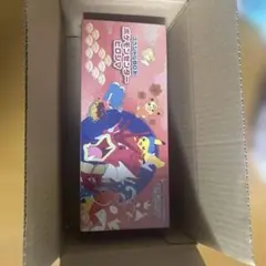 スペシャルBOX ポケモンセンターヒロシマ ポケモンカードゲーム