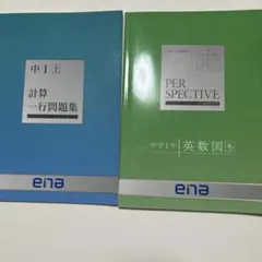 2026年最新】ena パースペクティブの人気アイテム - メルカリ