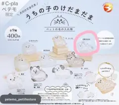 さき様専用　　うちの子のけだまだま