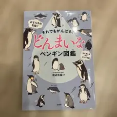 ゆきあ☆プロフご覧下さいね！様 リクエスト 2点 まとめ商品