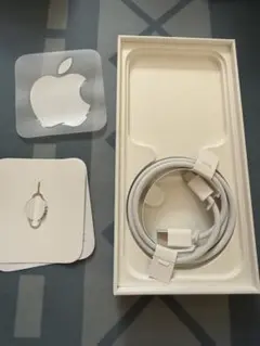 iPhone 15 箱 Lightningケーブル