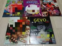 GEVO アシッド系下痢糞マガジン 5冊セット 樹海　死体　村田らむ　カルト映画