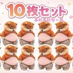 柴犬 お腹ぷにぷに 立体シール 10枚セット ぷにぷに シール まとめ売り