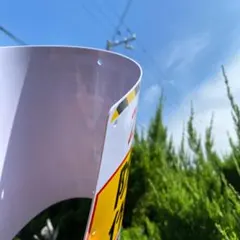 Item thumbnail for item cf9a9545-124a-42d7-b96c-9716f4e2903c