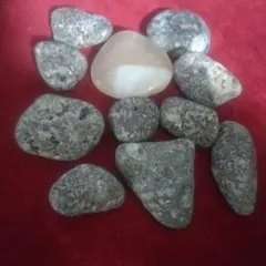 たに様 リクエスト 2点 まとめ商品