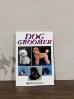 Item thumbnail for item ba440382-6fbe-4c91-adba-f3b1cf78a5be