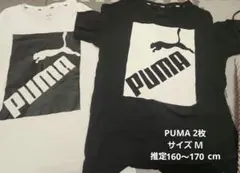 PUMA Tシャツ 2枚セット Mサイズ